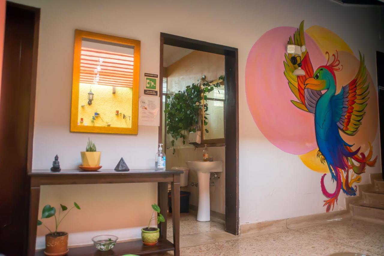 Ivy Hostel Medellín Zewnętrze zdjęcie