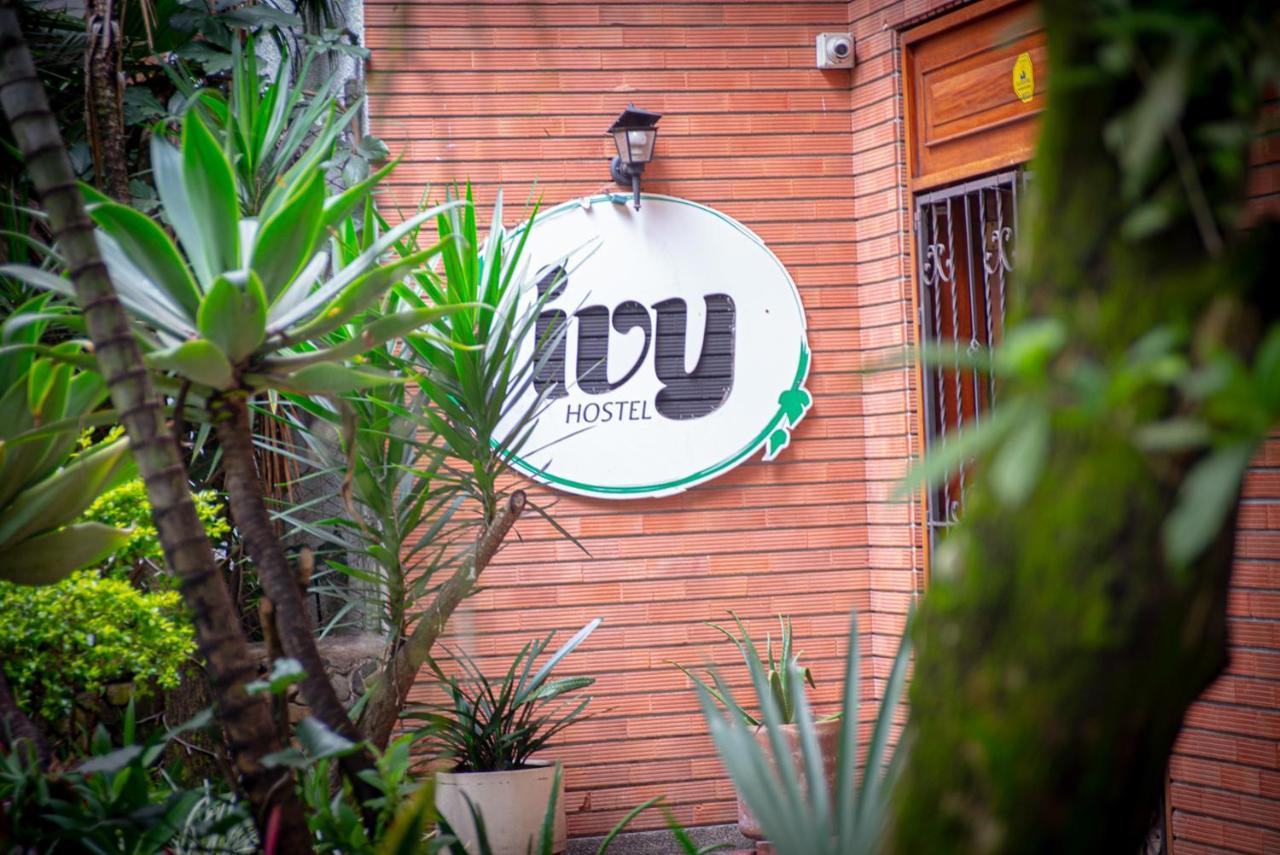 Ivy Hostel Medellín Zewnętrze zdjęcie